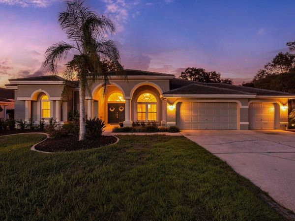 1003 KINGS WAY LANE , TARPON SPRINGS, FL 34688