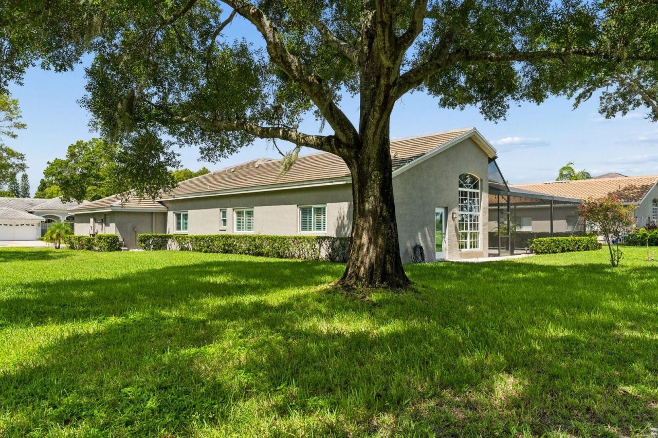 1003 Kings Way Lane, Tarpon Springs, FL 34688 Photo