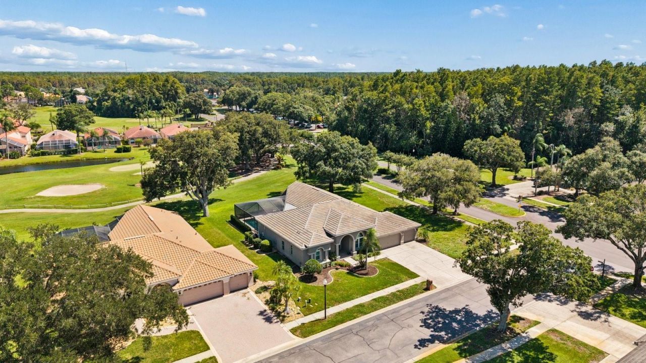 1003 Kings Way Lane, Tarpon Springs, FL 34688 Photo