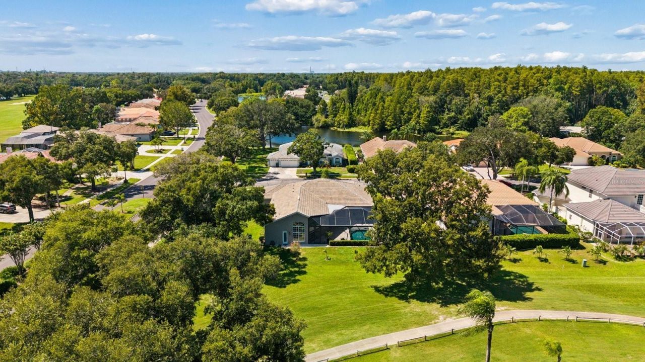 1003 Kings Way Lane, Tarpon Springs, FL 34688 Photo