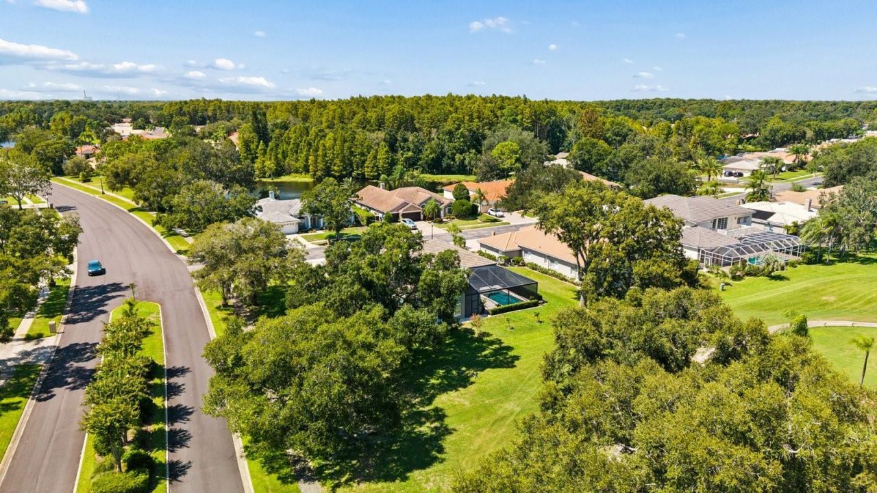 1003 Kings Way Lane, Tarpon Springs, FL 34688 Photo