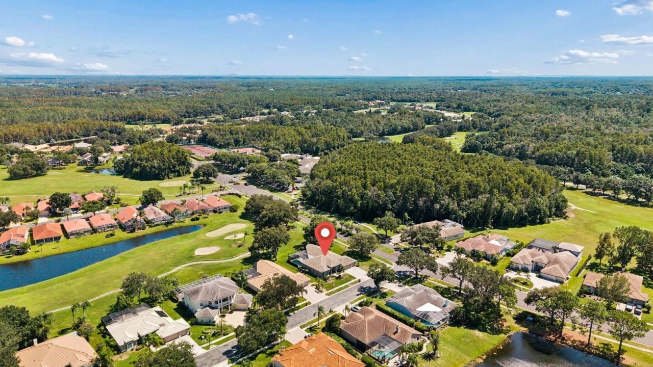 1003 Kings Way Lane, Tarpon Springs, FL 34688 Photo