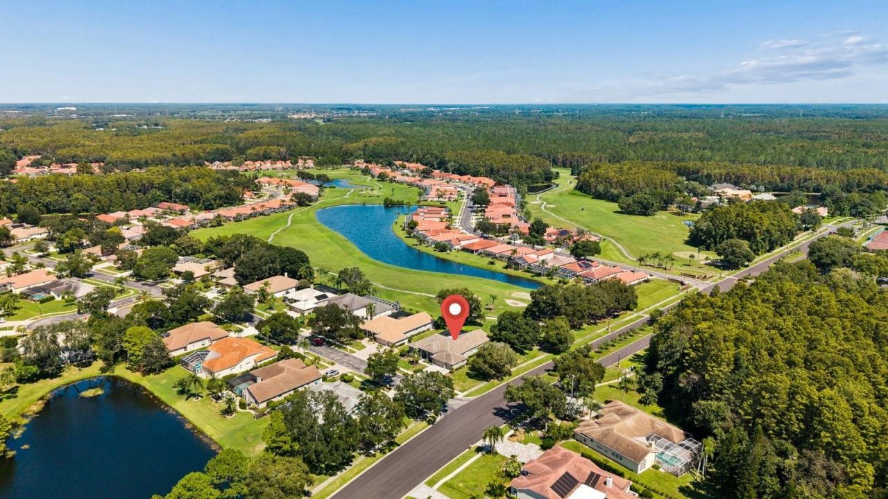 1003 Kings Way Lane, Tarpon Springs, FL 34688 Photo