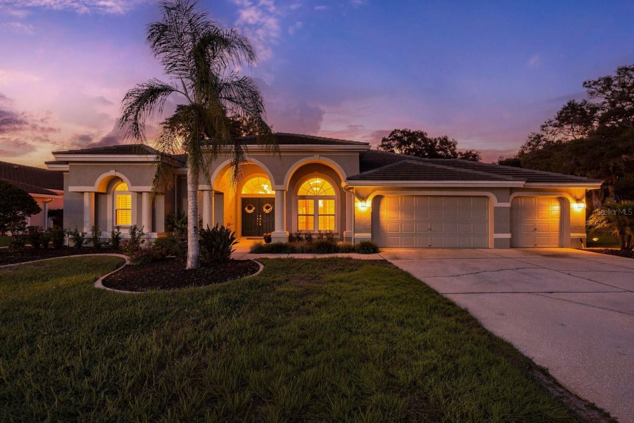 1003 Kings Way Lane, Tarpon Springs, FL 34688 Photo