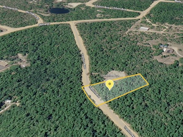 0 Trenton Avenue, Alford, FL 32420