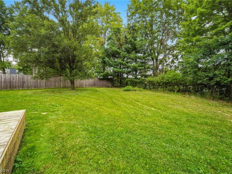 3903 Laurel Road, Brunswick, OH 44212 Photo 35