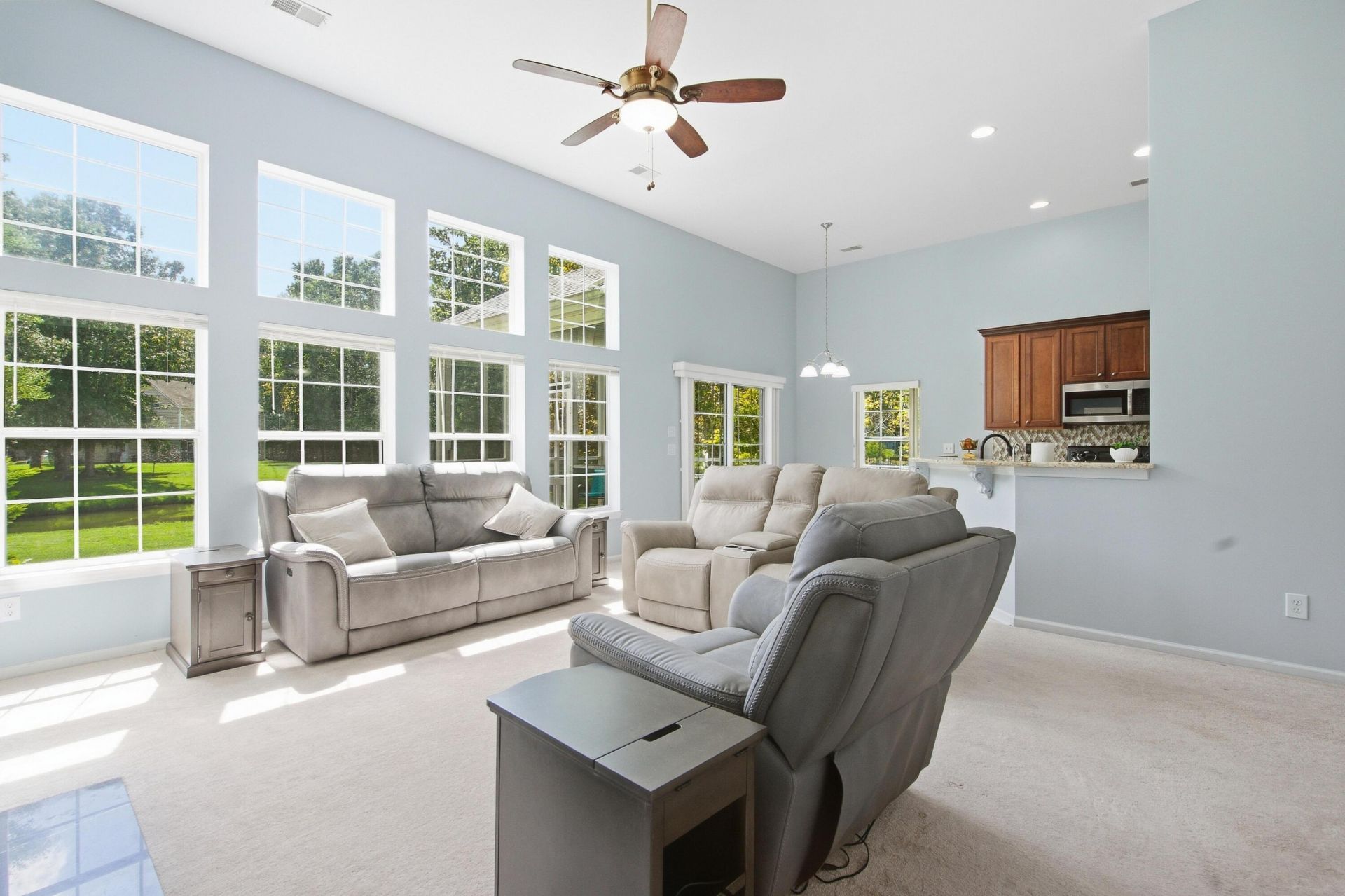 457 Blue Dragonfly Drive Photo 14