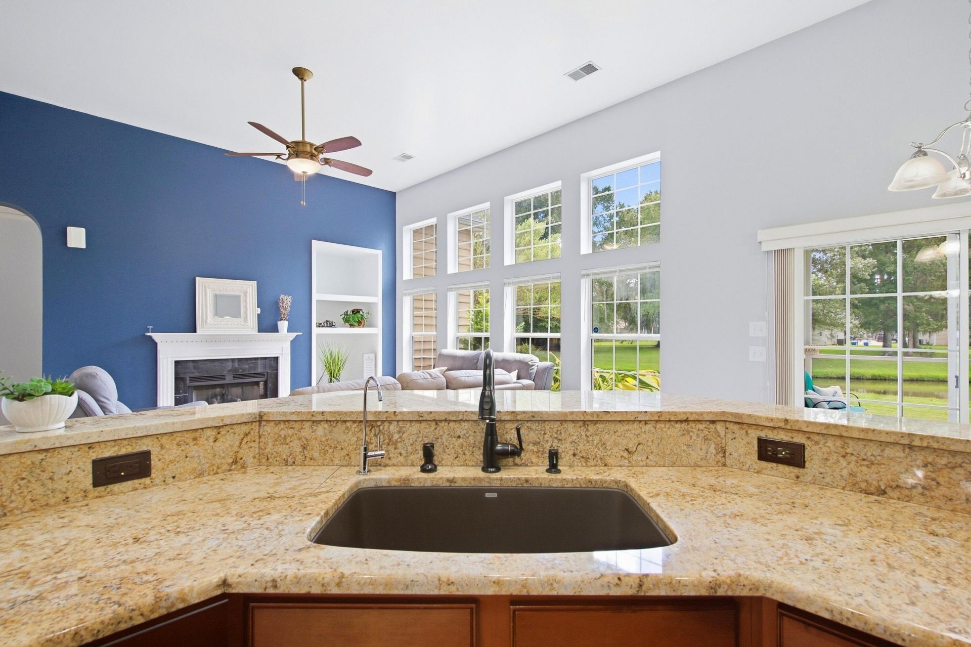 457 Blue Dragonfly Drive Photo 18