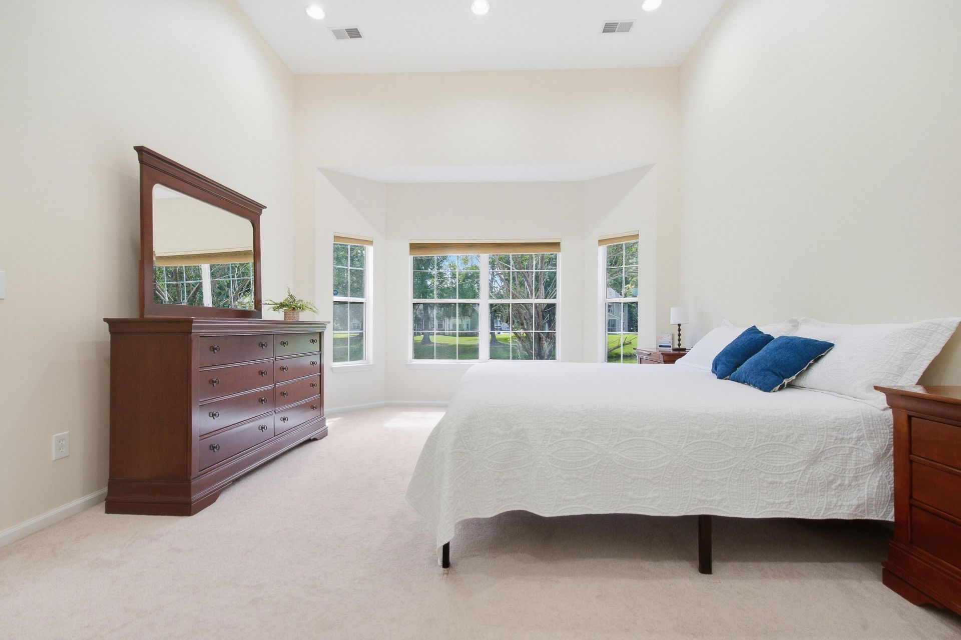 457 Blue Dragonfly Drive Photo 29