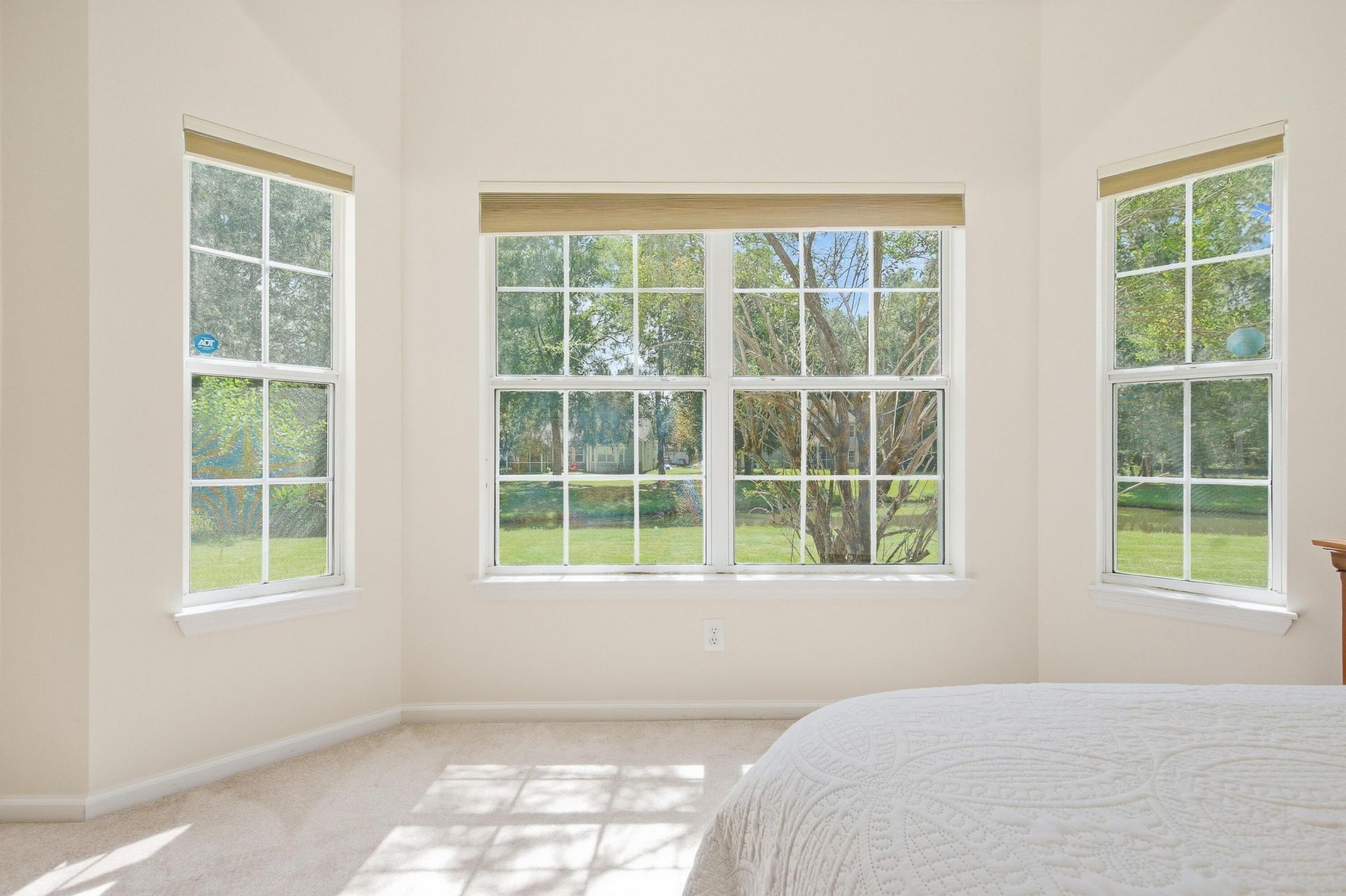 457 Blue Dragonfly Drive Photo 30