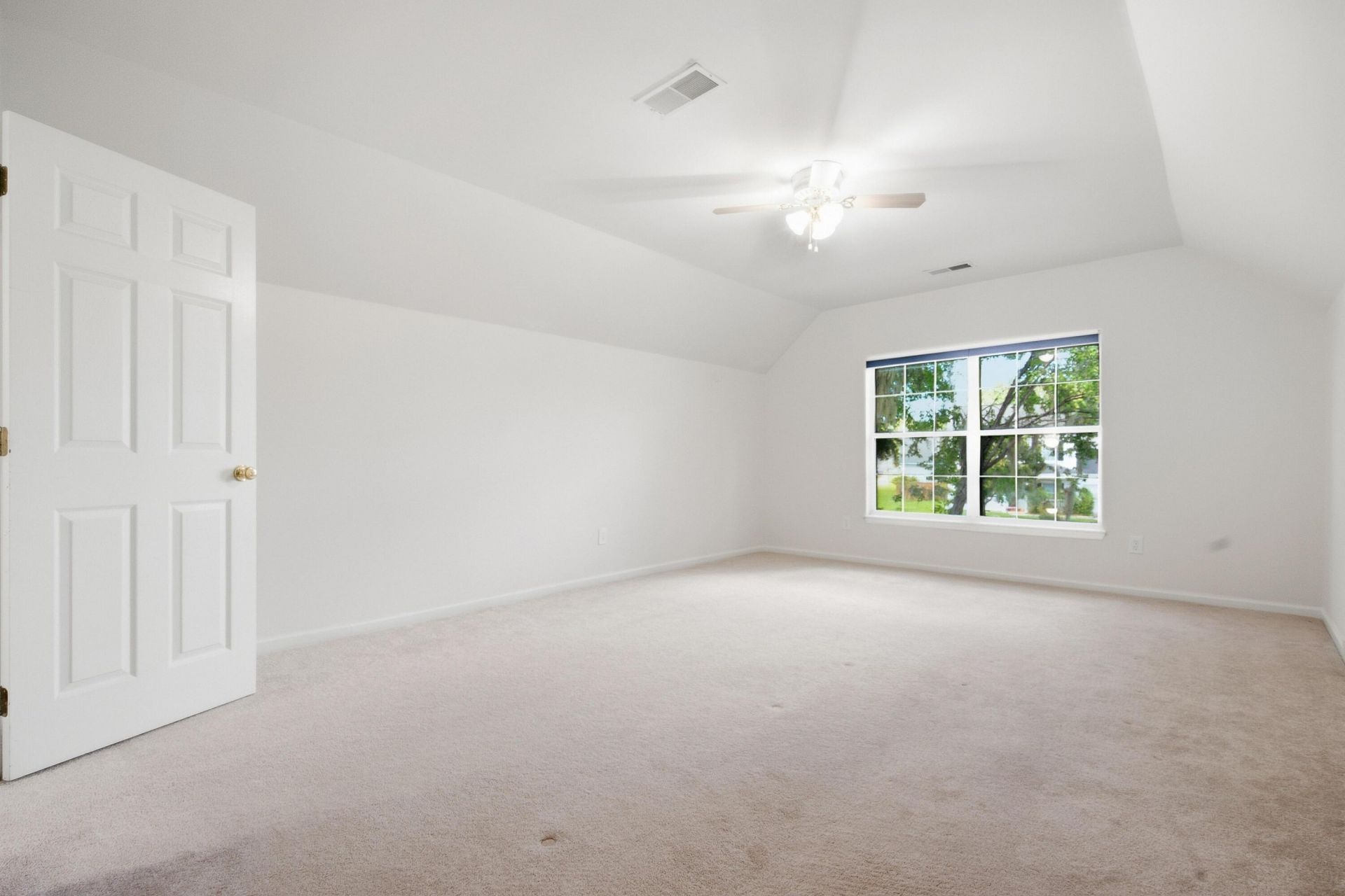 457 Blue Dragonfly Drive Photo 49