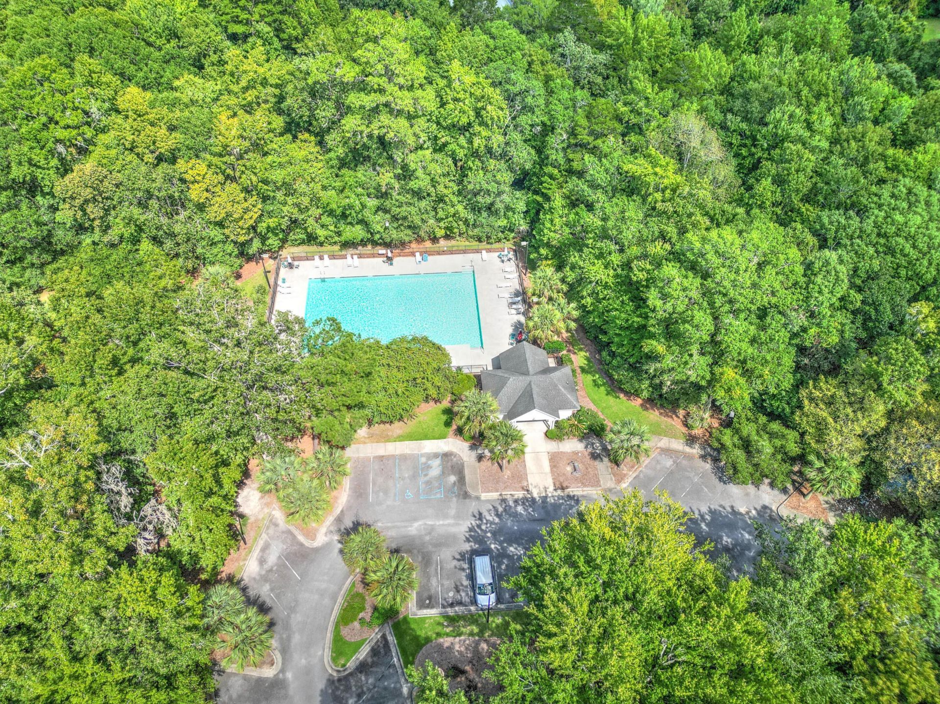 457 Blue Dragonfly Drive Photo 63