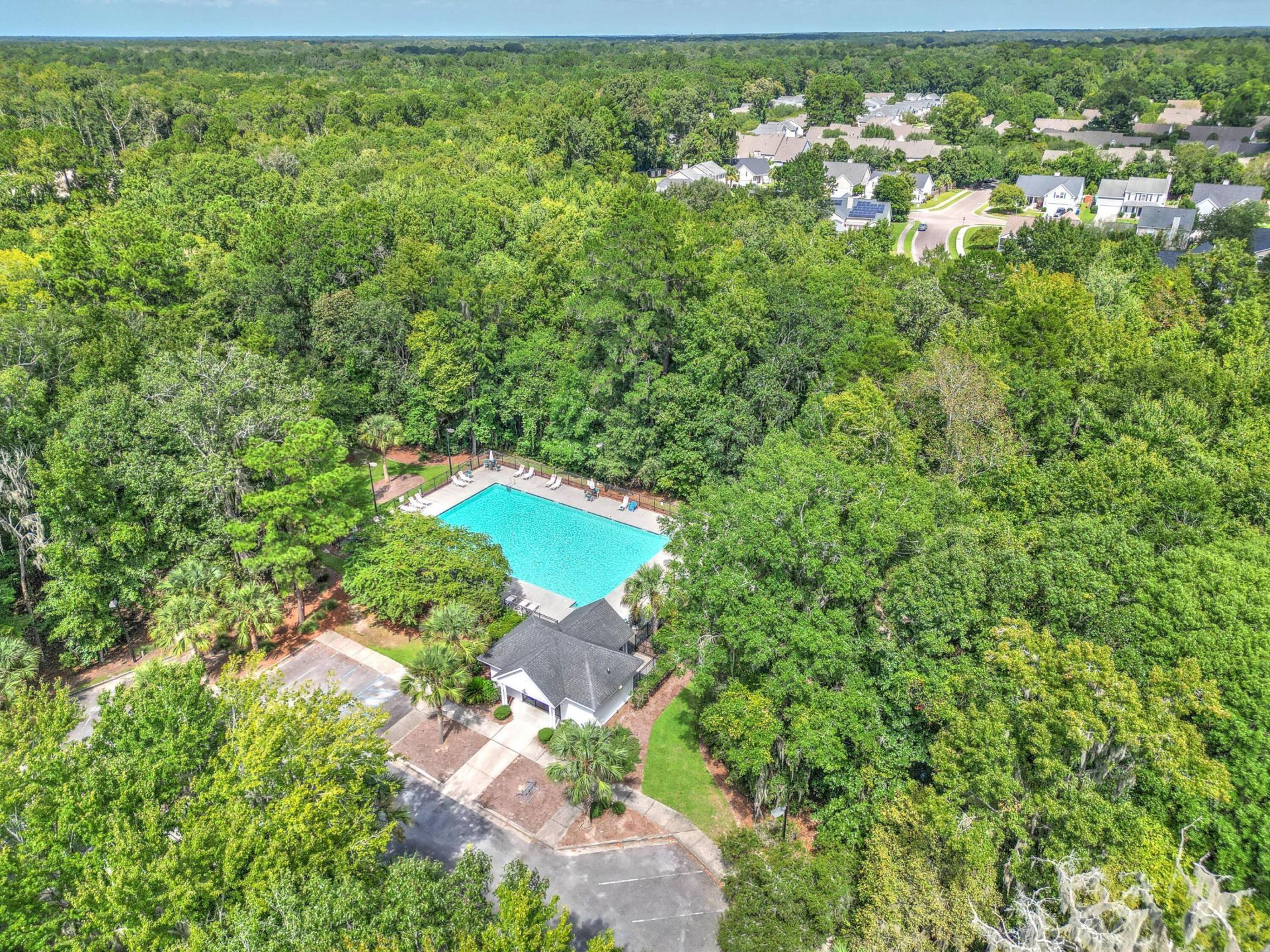457 Blue Dragonfly Drive Photo 68