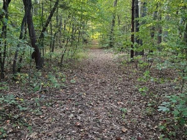 204 New Center Road, Sevierville, TN 37876