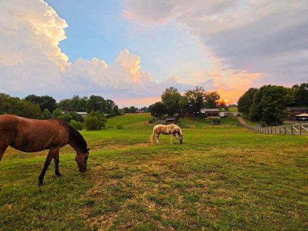175 Bettis Rd , Lebanon, TN 37090