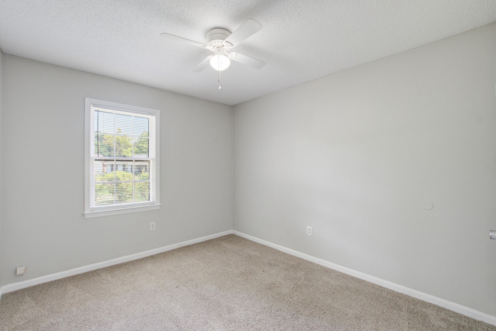 106 Kirk Court Photo 18