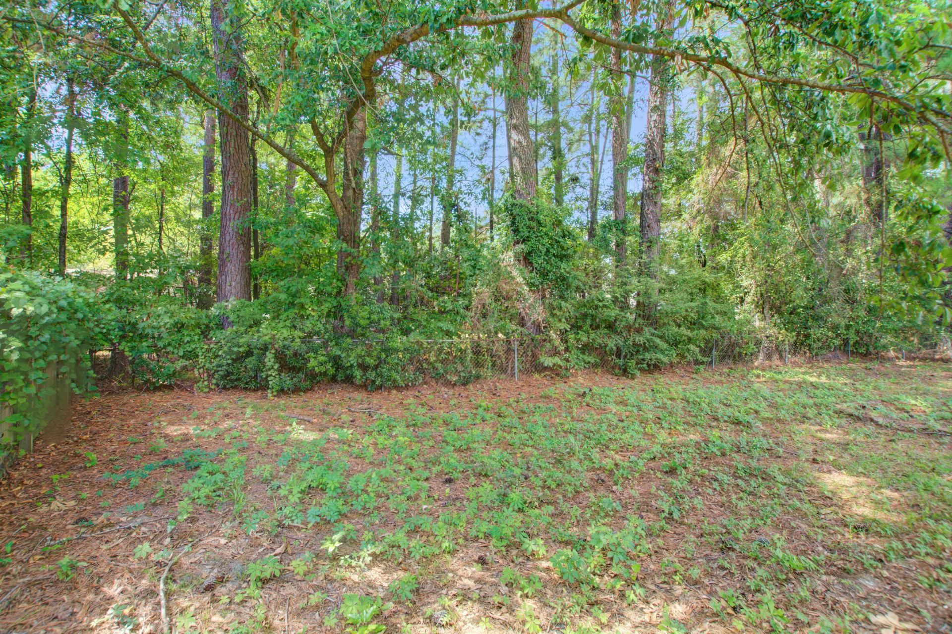 106 Kirk Court Photo 37