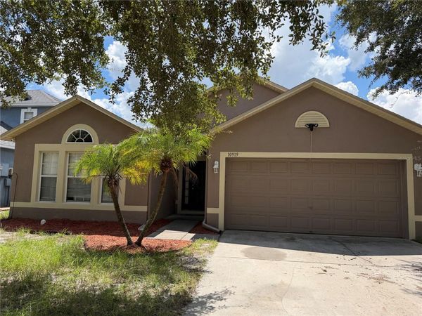 10919 BANYAN WOOD WAY , RIVERVIEW, FL 33579