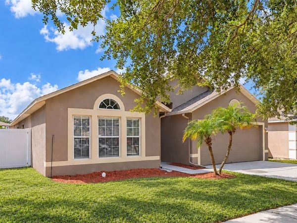 10919 BANYAN WOOD WAY, RIVERVIEW, FL 33579