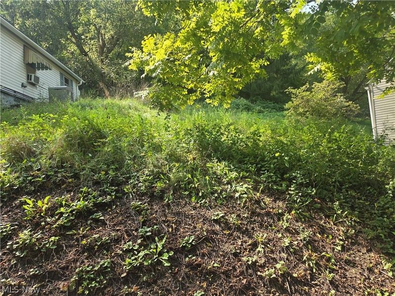 Anne Avenue, Bellaire, OH 43906 Photo 4