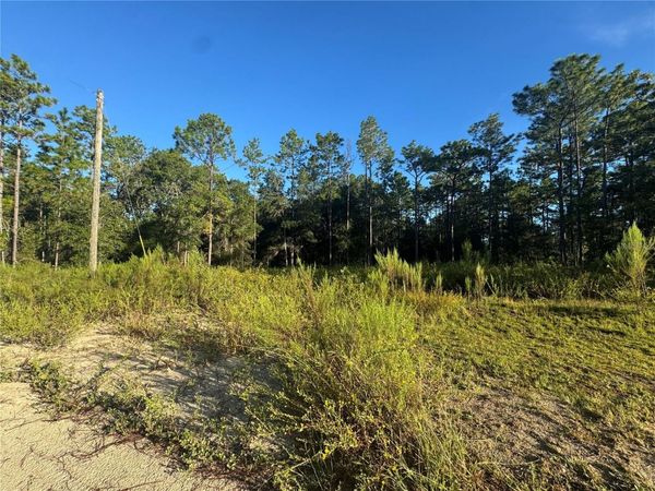 16327 SW 24TH PLACE , OCALA, FL 34481