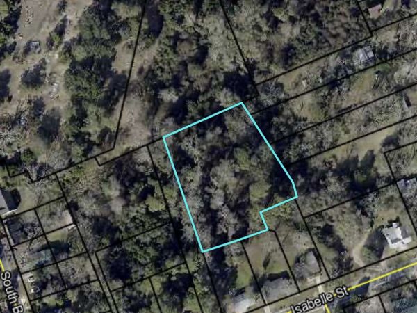 0 Isabel Street, Sylvania, GA 30467