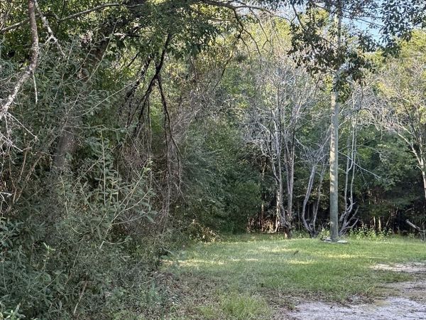 0 Isabel Street, Sylvania, GA 30467