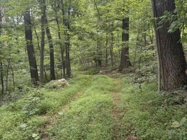 SUNDOWN ROAD, GORE, VA 22637