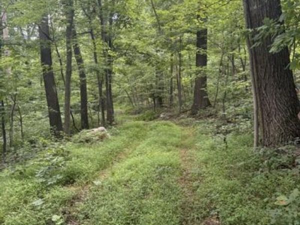 SUNDOWN ROAD, GORE, VA 22637