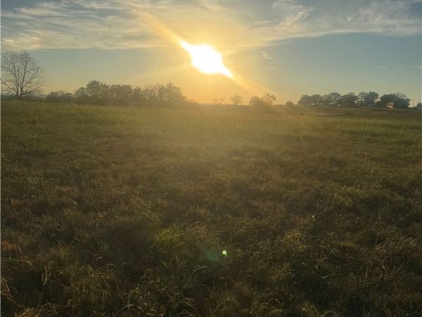 000 W Lowery Road , Lead Hill, AR 72644
