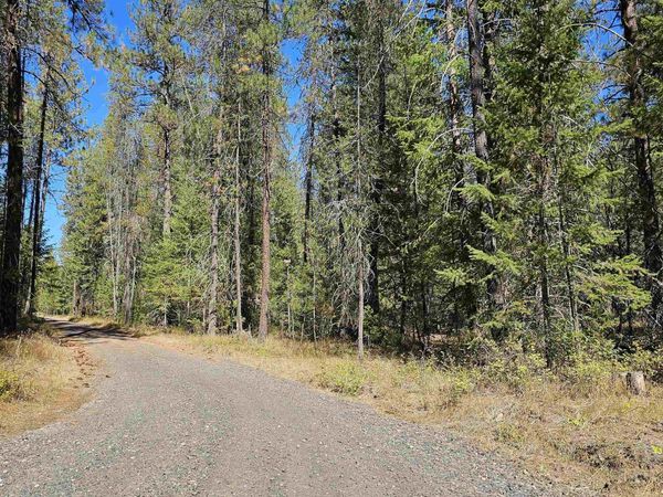 385X Agar Rd, Loon Lake, WA 99148