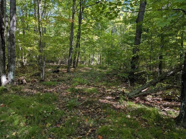 Lot 17 Rabbit Run, Ojibwa, WI 54862