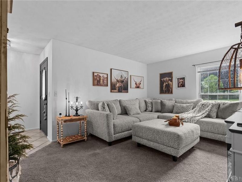 20 Walnut Place, Springboro, OH 45066 Photo 8