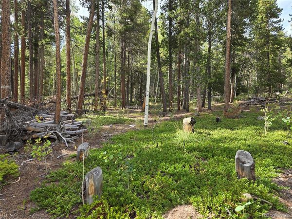 001 Tiber , Black Hawk, CO 80422