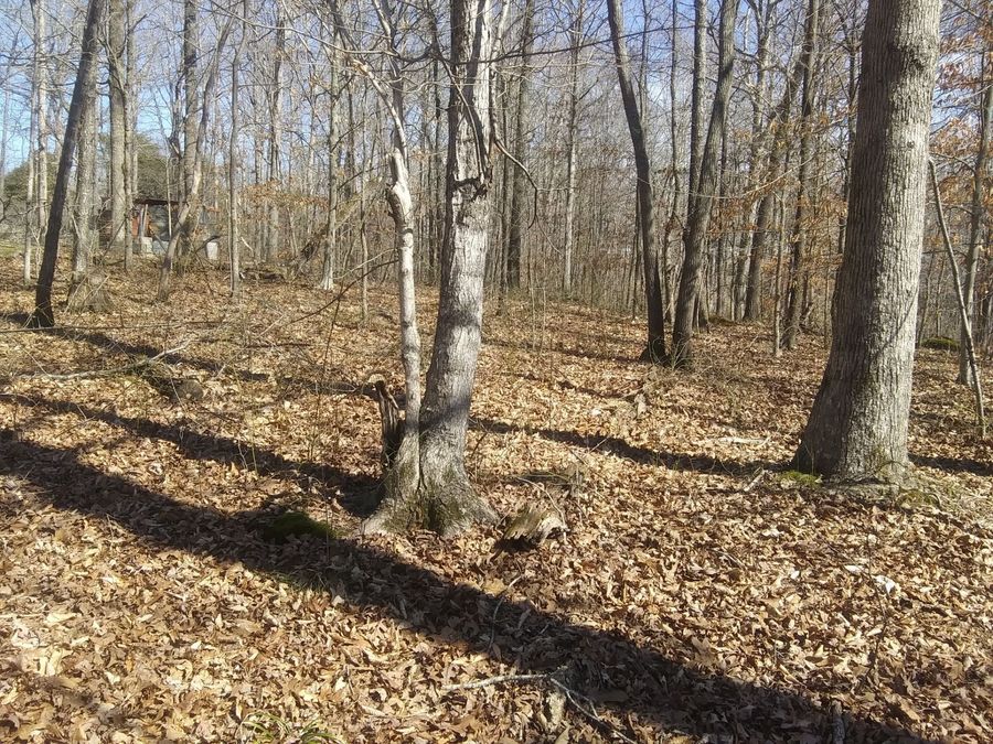 Property Image 67