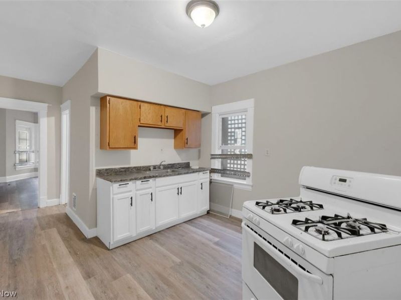13201 Southview Avenue, Cleveland, OH 44120 Photo 8