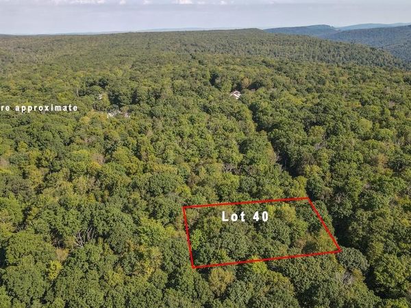 Lot 40 DOGWOOD DRIVE , OAKLAND, MD 21550