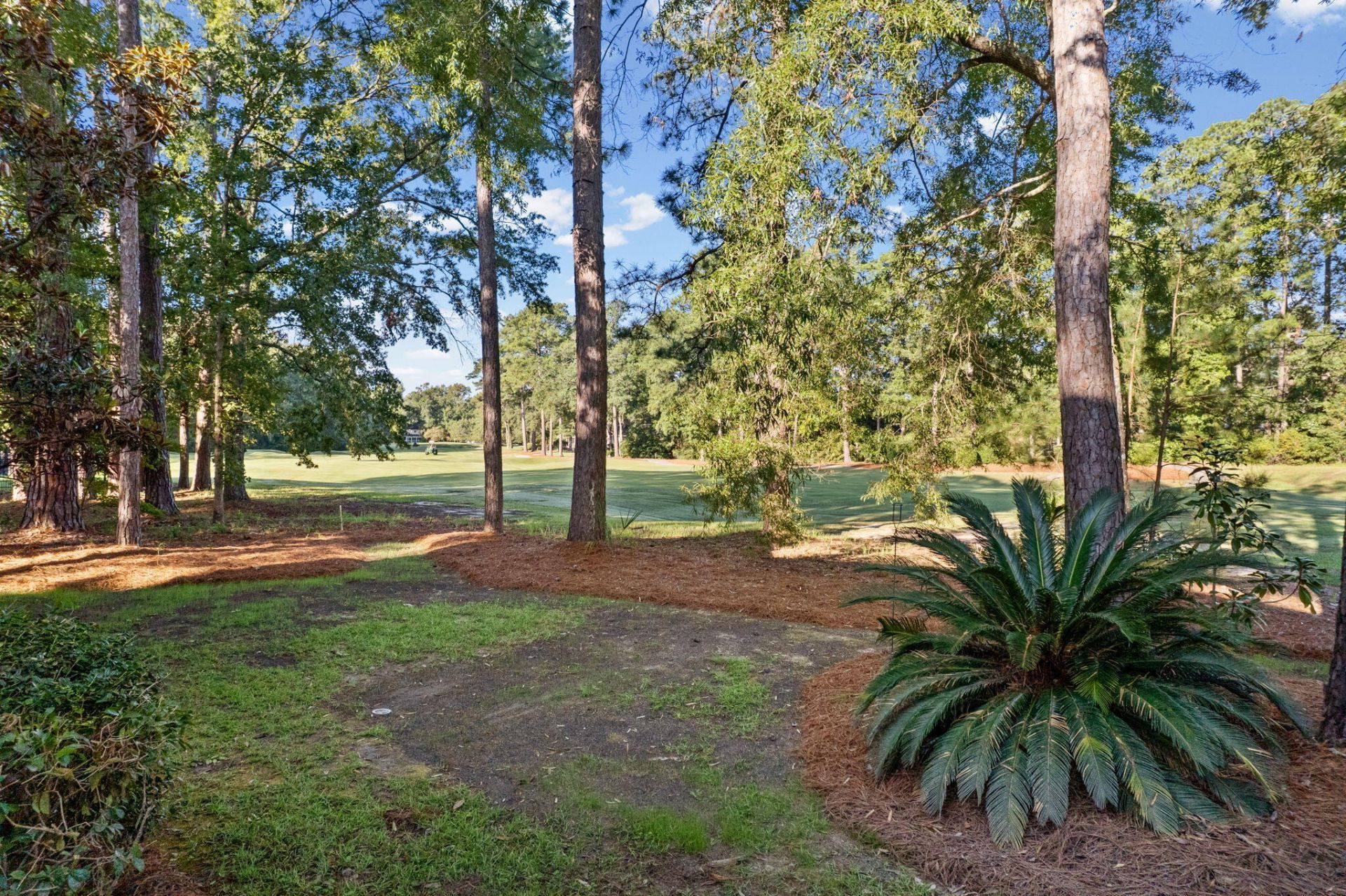 4412 Wild Thicket Lane Photo 6