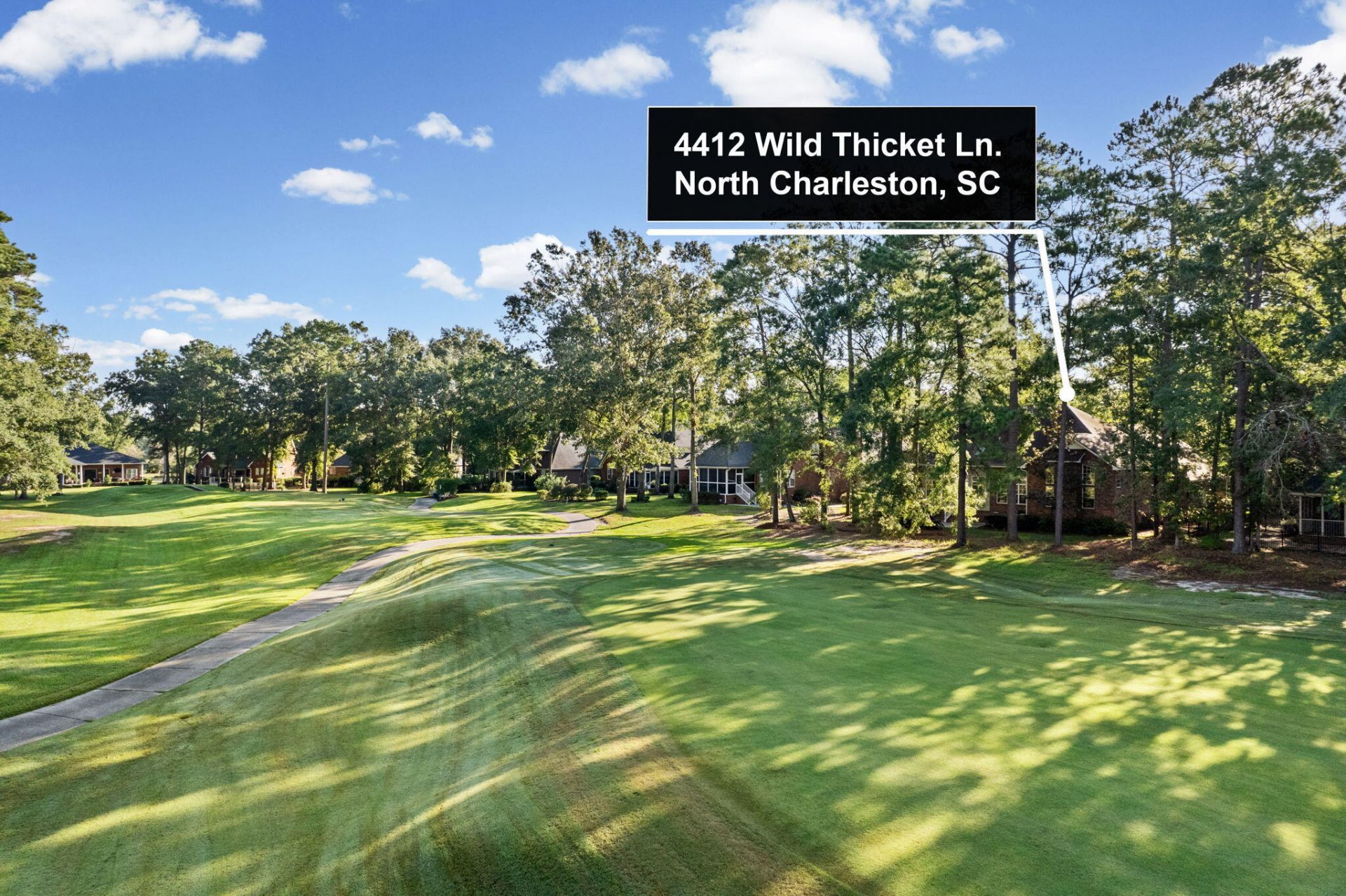 4412 Wild Thicket Lane Photo 61