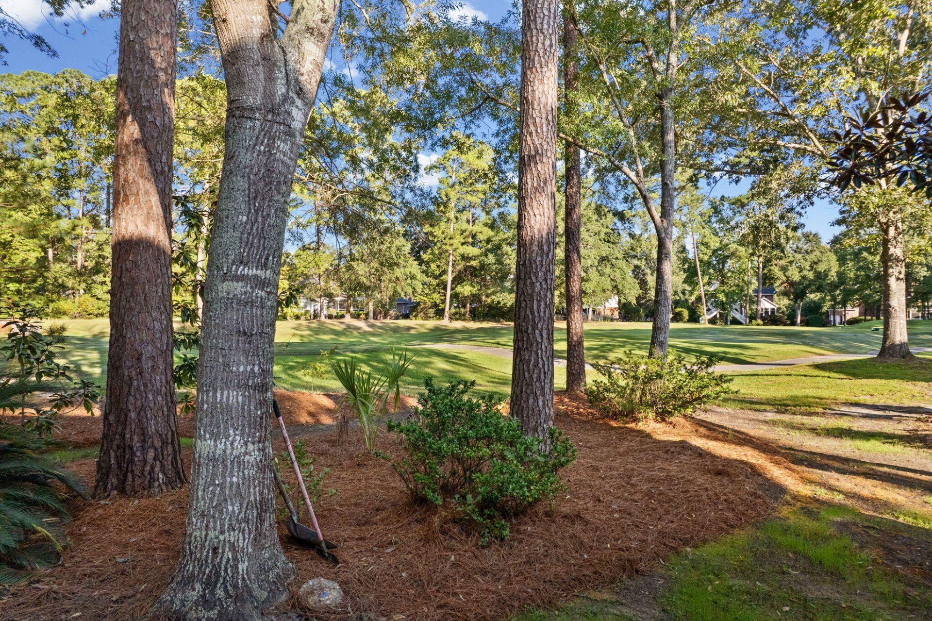 4412 Wild Thicket Lane Photo 7
