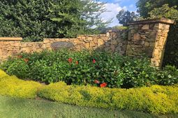 141 Clayborn Drive photo 4
