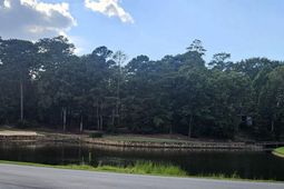 141 Clayborn Drive photo 4