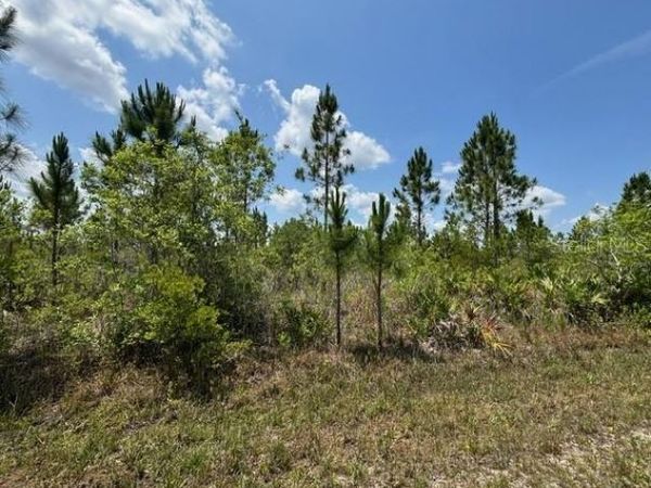 1015 CALLIANDRA DRIVE , INDIAN LAKE ESTATES, FL 33855