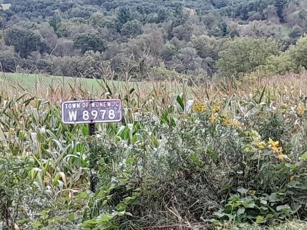 W8978 PREUSS ROAD, Elroy, WI 53929