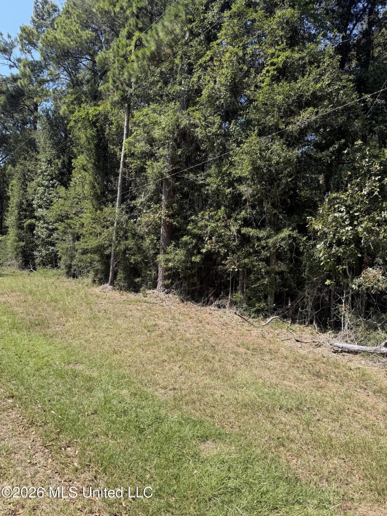 Adams Road, Smithdale, MS 39664 Main Photo