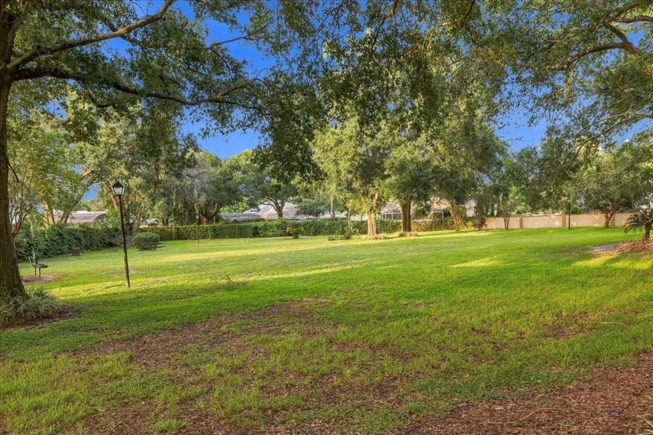 9320 Cypress Cove Drive, Orlando, FL 32819 Photo