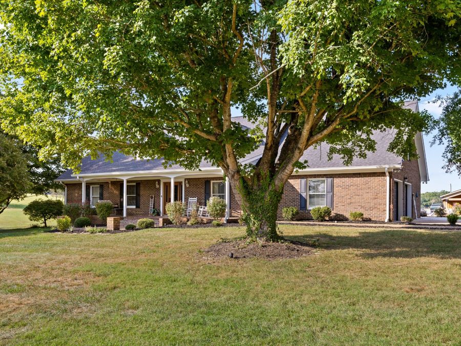 Property Image 43