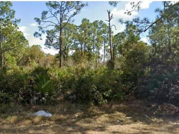 LEHIGH ACRES, FL 33972