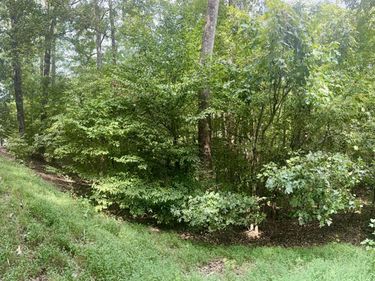 Lot 24E, Lot 25E, Lot 26E Parkersville Road, Eddyville, KY 42038