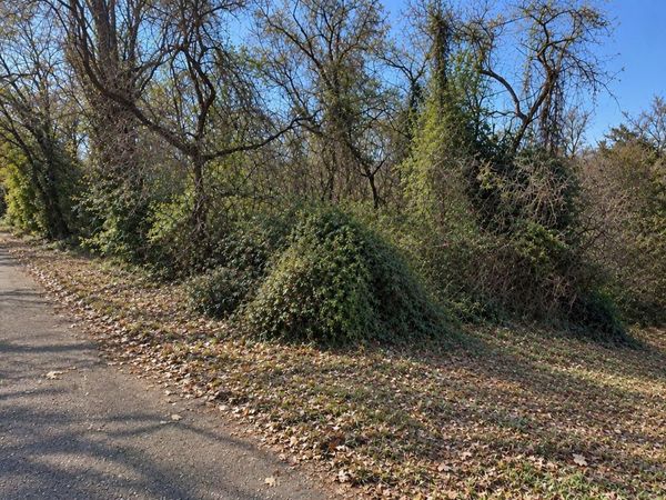 0 Maryland Ave, Knoxville, TN 37921